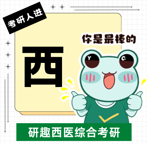 揭秘合肥口碑 TOP3 的研趣考研：凭什么成考生优选？